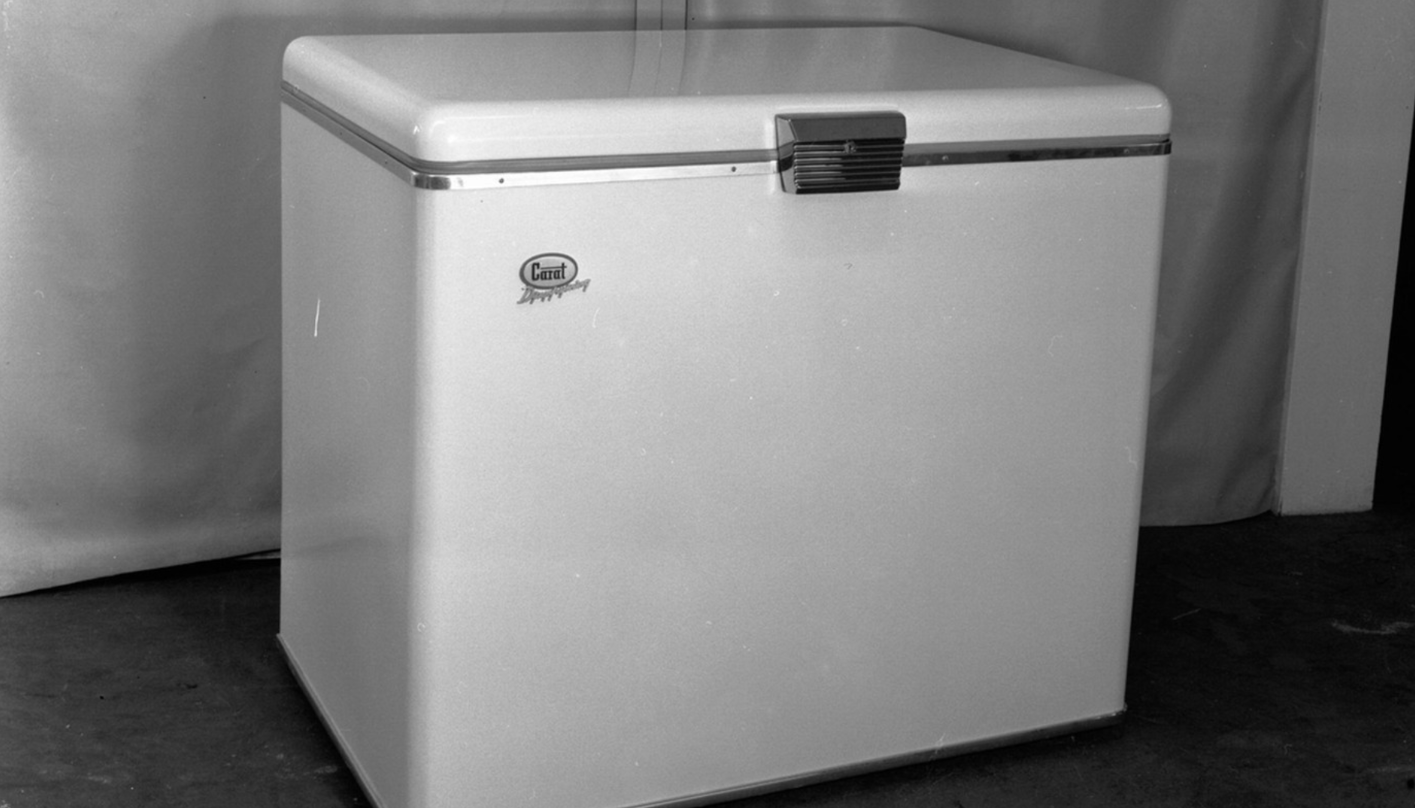 O femeie de 75 de ani a fost arestată după ce a ţinut cadavrul fiicei sale într-un congelator timp de 20 de ani