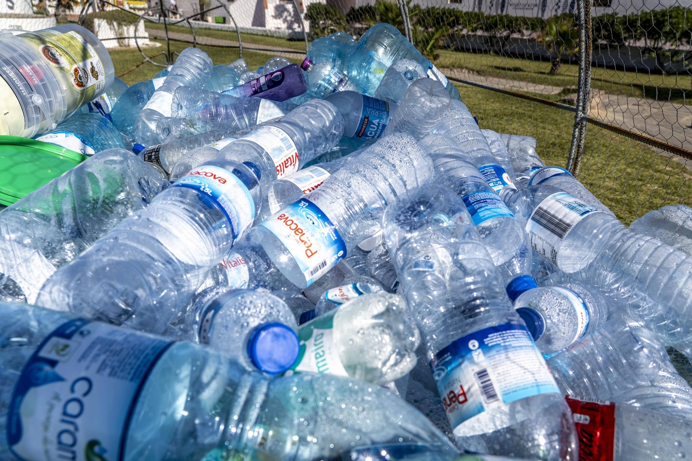 Microplasticele ajung în creier, arată un studiu. Acumulăm până la 5 grame din particulele care provoacă boli grave