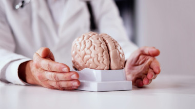 doctor, creier, dementa