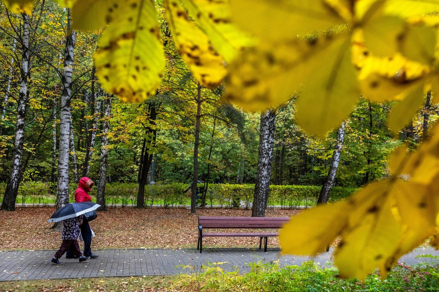 Cât va dura valul de frig în România. Prognoza meteo pentru următoarele două săptămâni, pe regiuni
