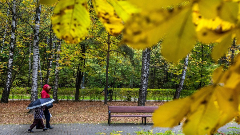frunze tomnatice si oameni in parc