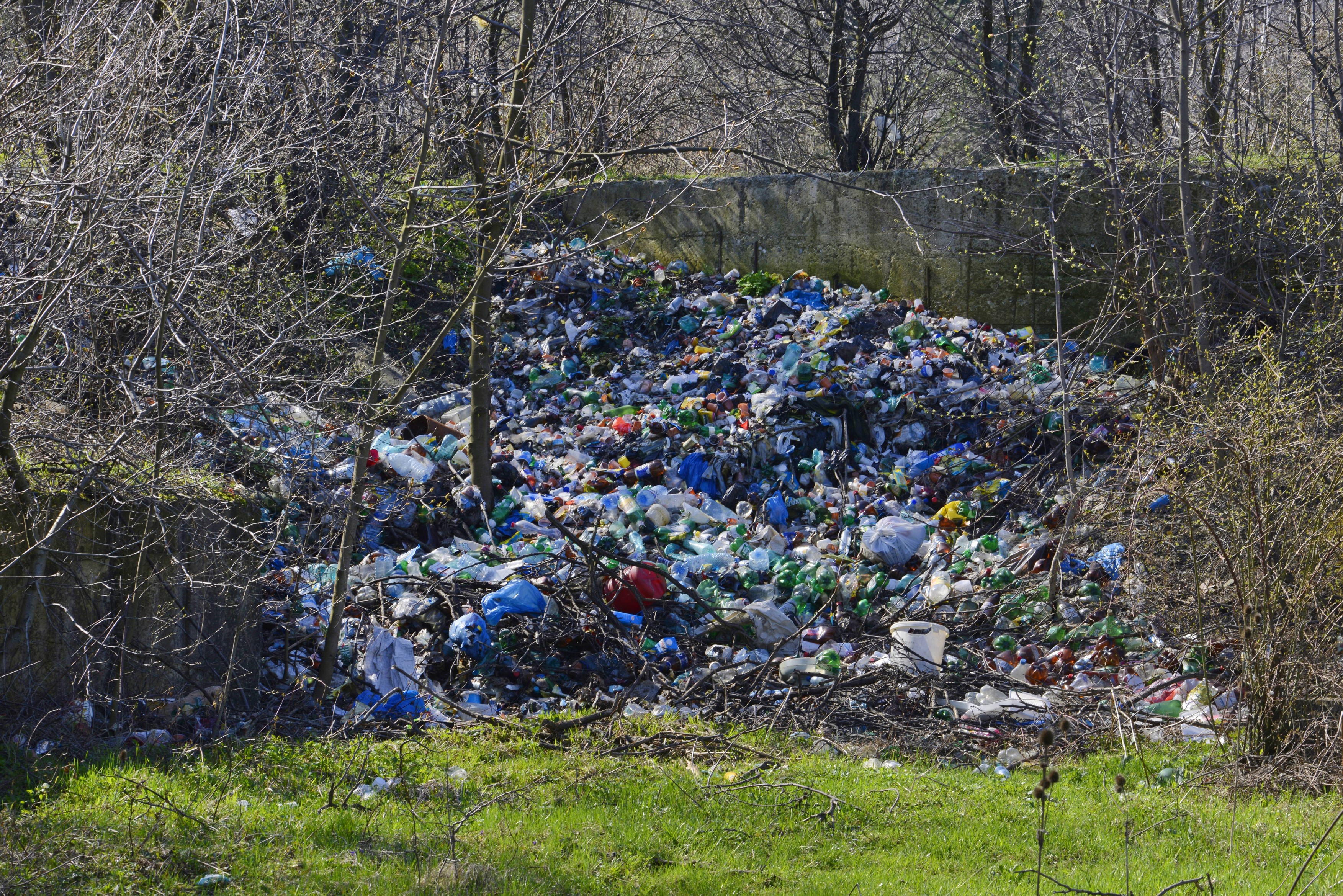 Ministra Mediului, despre gunoaiele aruncate pe câmp: „Dacă mai aud de o campanie de reciclare cu flyere pe hârtie o sa înnebunesc”