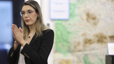 diana buzoianu harta