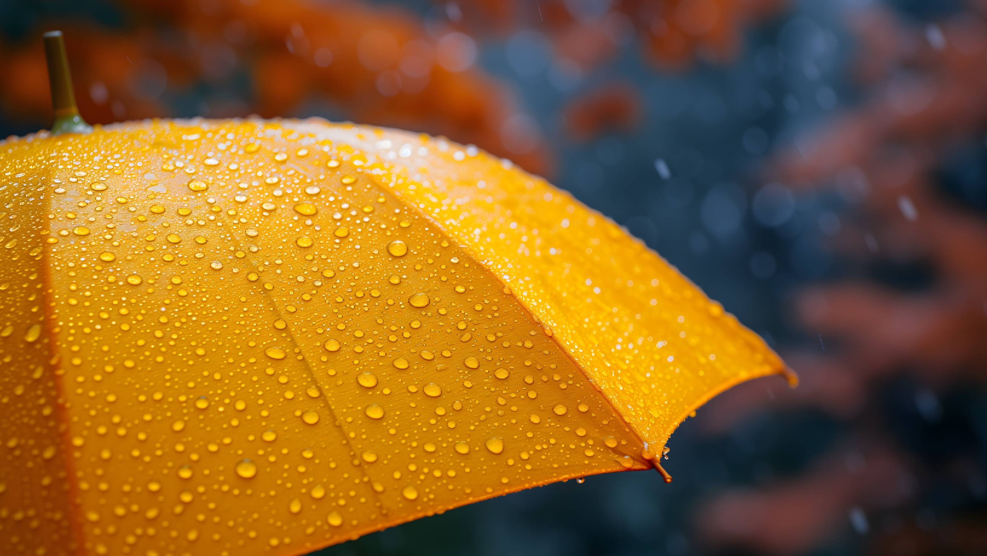 Vremea rămâne rece în România: urmează patru zile de frig, ploi și ninsori viscolite. Cum va fi vremea în București