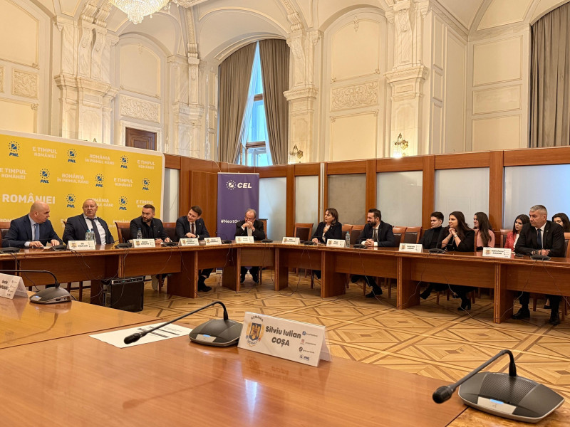 sedinta lui bolojan cu senatorii pnl