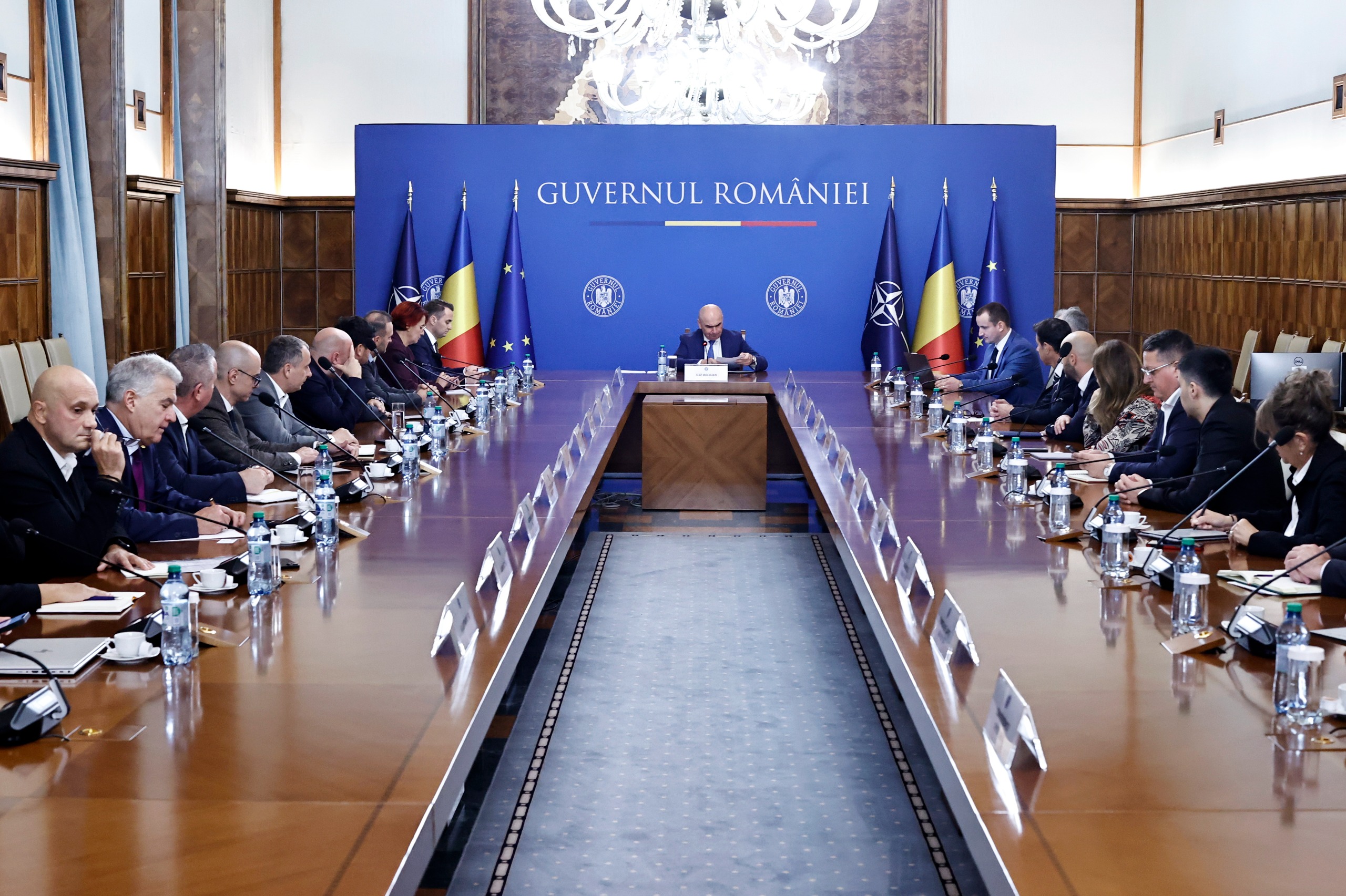 Purtătoarea de cuvânt a Guvernului: „În principiu, salariul minim nu va crește de anul viitor”
