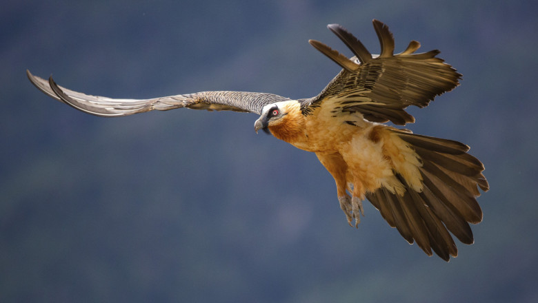 photo-collage.png - 2025-10-09T112209.645