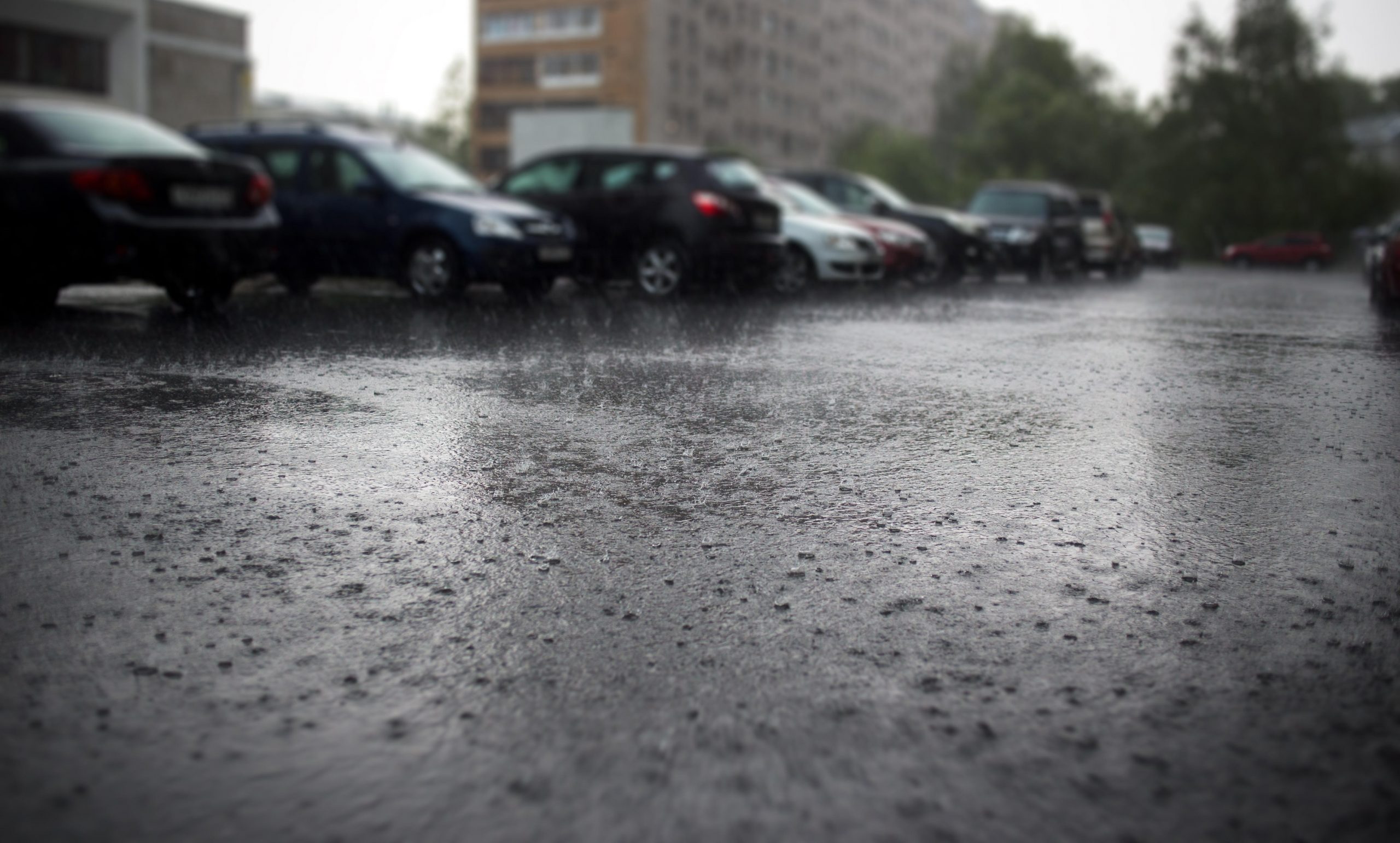 Cantități uriașe de ploi în județul Constanța: s-au înregistrat şi 174,5 l/mp. Care este situația actuală