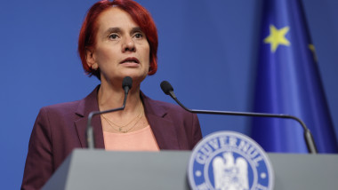Ioana Dogioiu, purtător de cuvânt al guvernului.