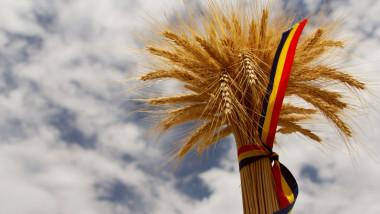 romania agricol agricultura grau