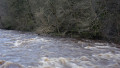 River Irthing in flood