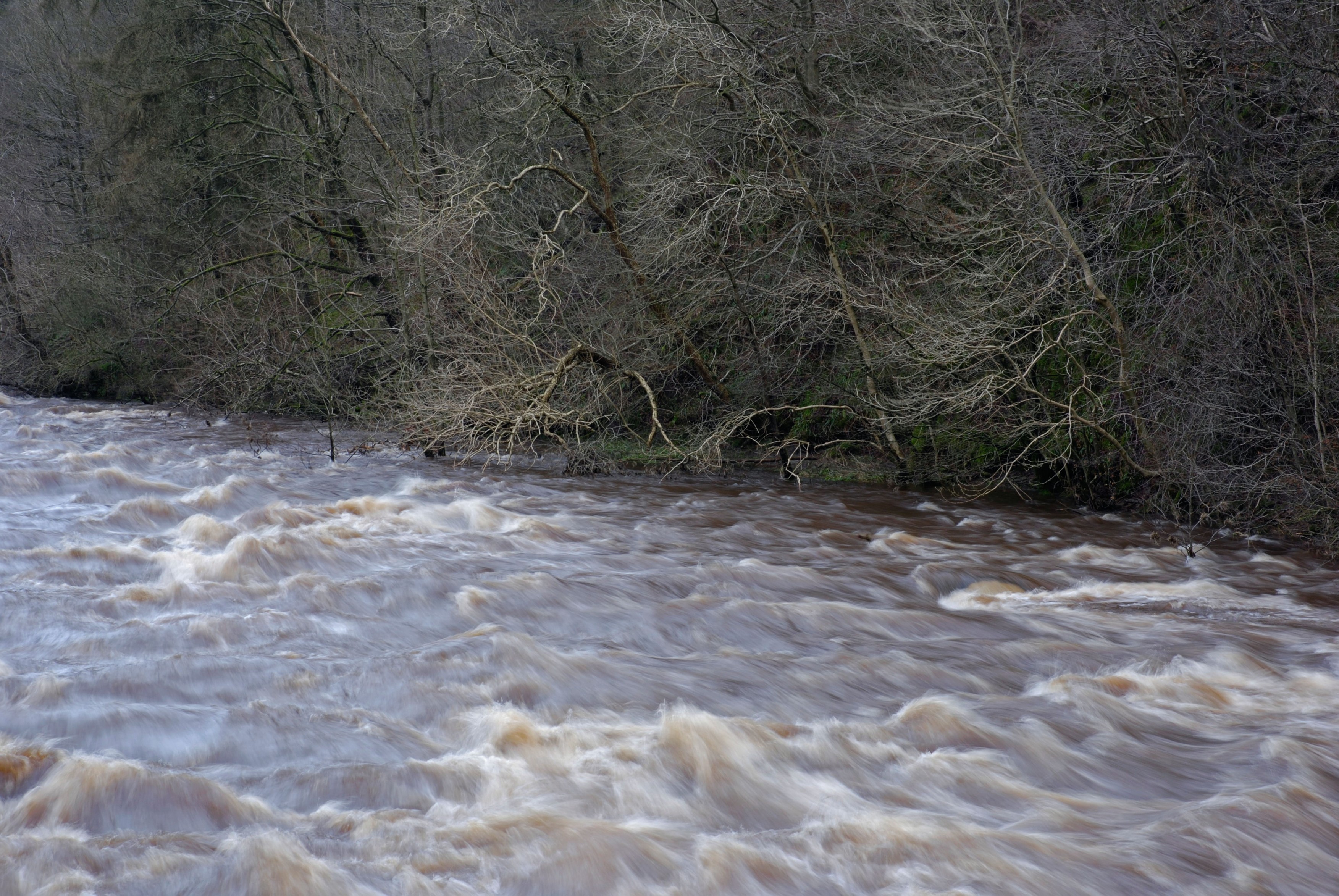 Autoritățile se pregătesc pentru inundații în Olt și Dolj, unde va fi cod roșu de ploi. „Pentru râurile mici vor fi probleme”