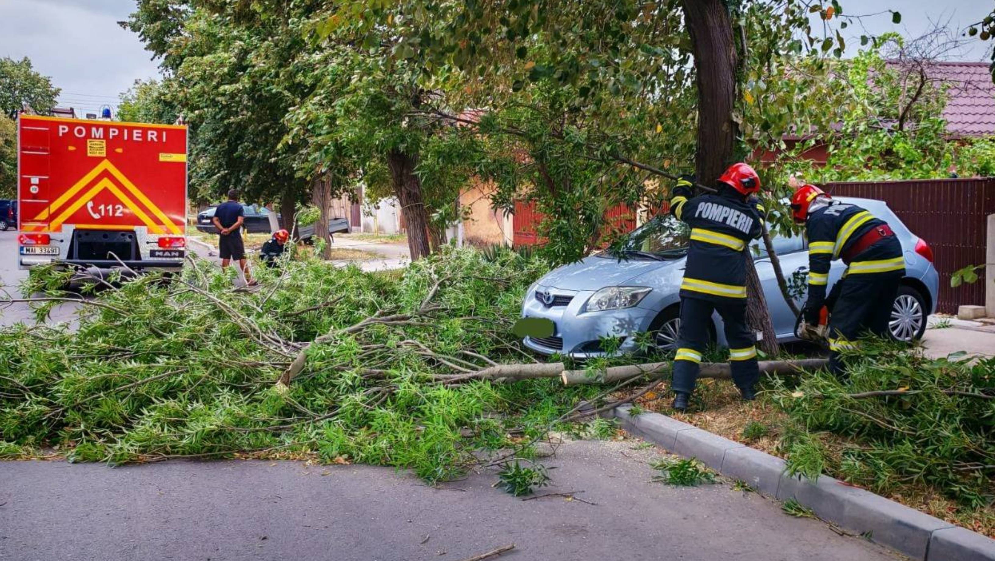 Pompierii au intervenit în București în urma fenomenelor extreme: crengi pe carosabil și cabluri rupte