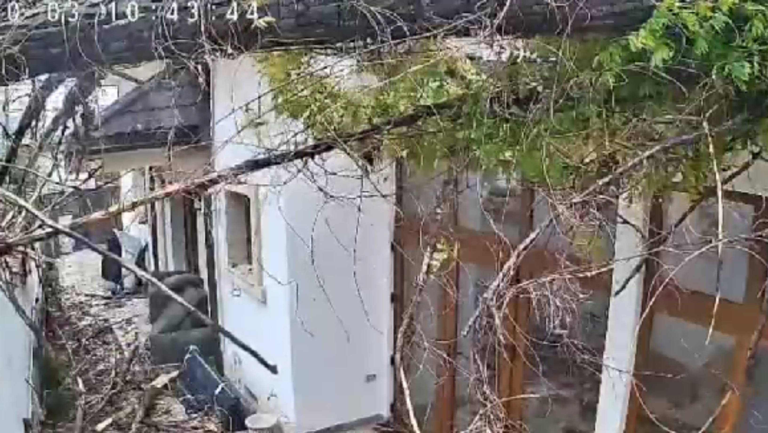 Momentul în care vântul puternic doboară un copac peste o casă, în București