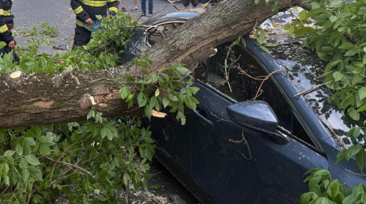 Vijelia din București a făcut prăpăd. Pompierii au fost chemați să intervină de 350 de ori