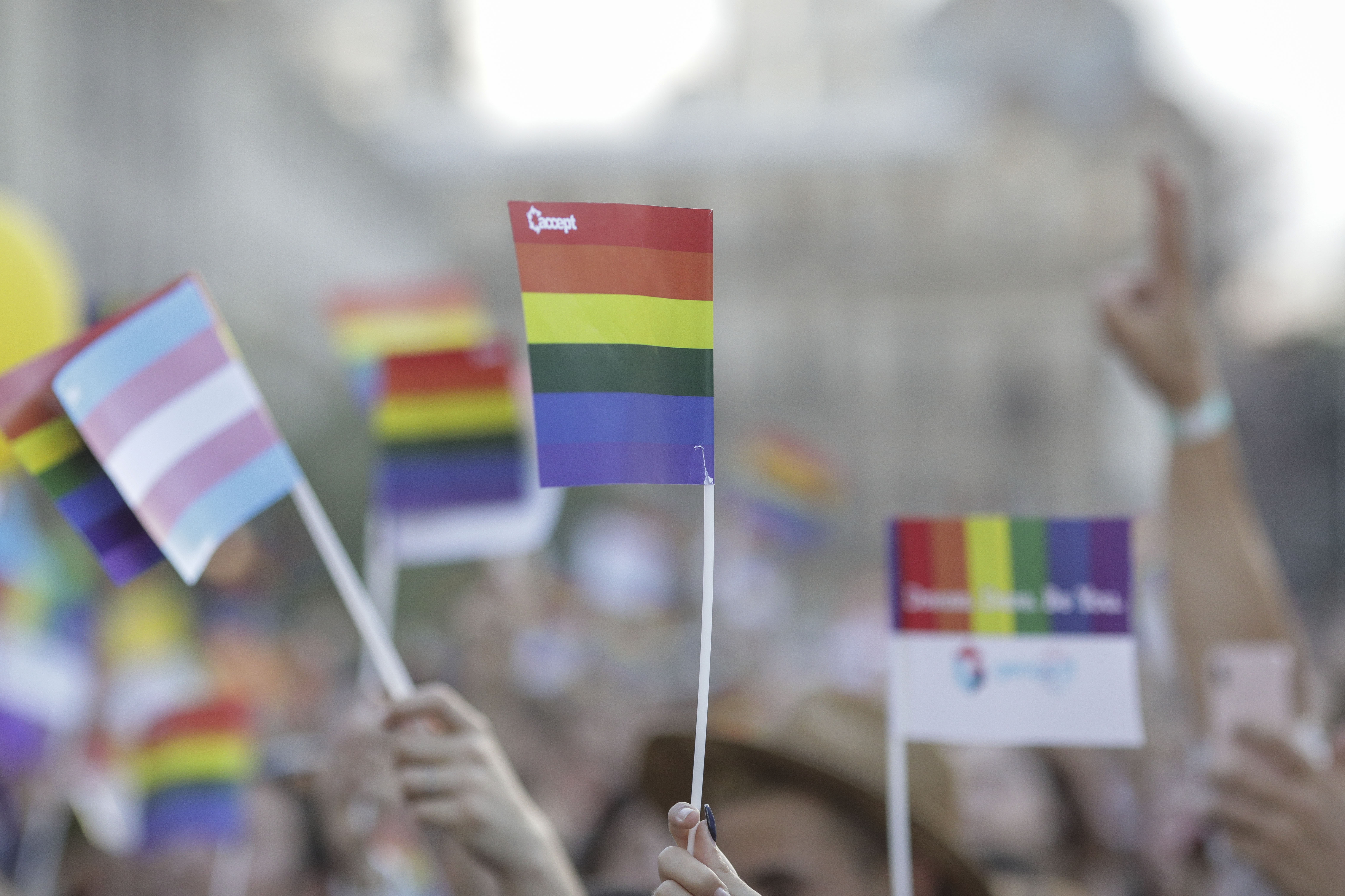 Părinții copiilor LGBTIQ+ invită politicienii la dialog, după apariția unor informații false despre strategia UE privind copiii trans