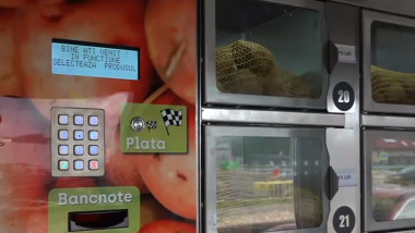 Screenshot 2025-10-14 193959