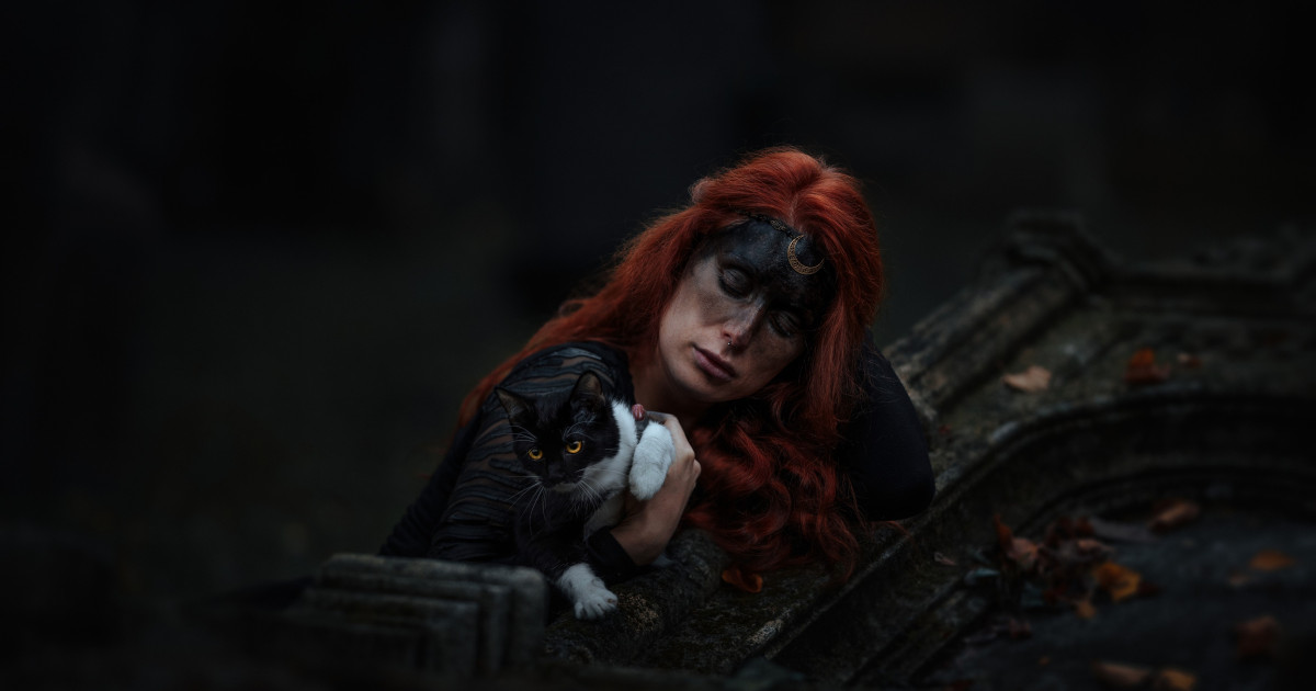 Terrassa interzice adopția pisicilor negre înainte de Halloween
