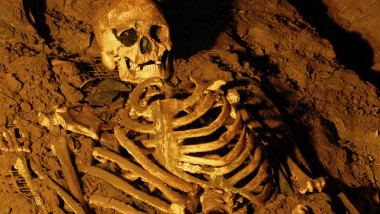 profimedia-0146472099