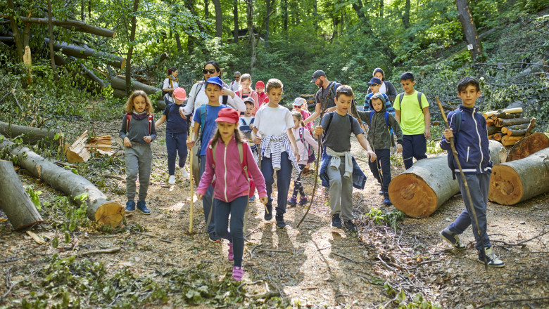 Programele „Școala altfel” și „Săptămâna verde” în anul școlar 2025-2026. Foto Getty Images
