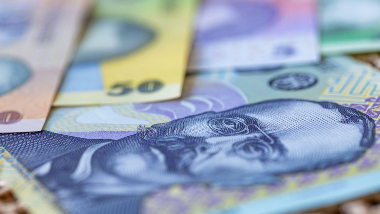 Romania money. Close up. Financial concept, business background