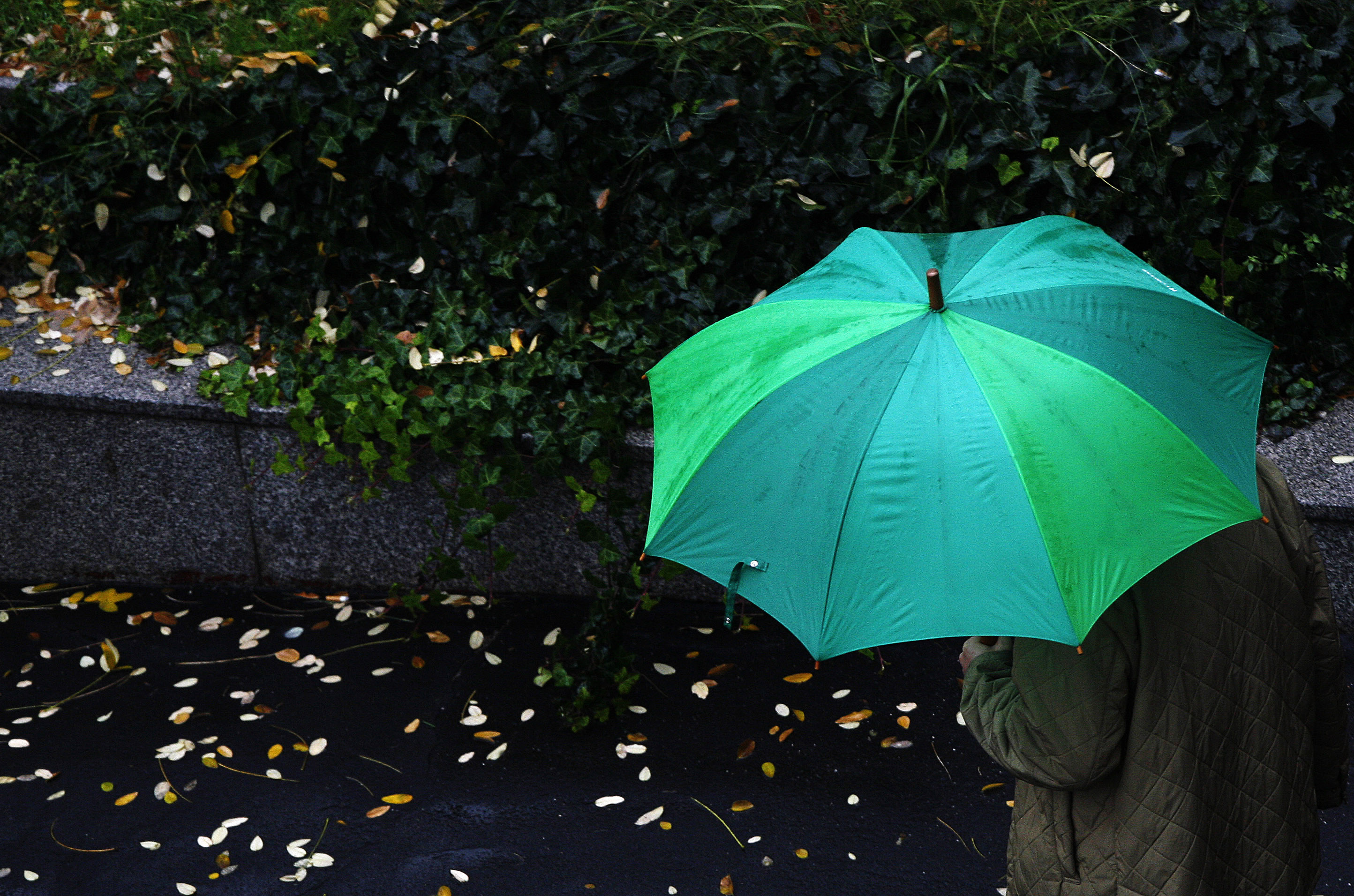 Cum va fi vremea până spre finalul lunii noiembrie. Prognoza meteo pentru următoarele patru săptămâni