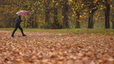 om cu umbrelă și frunze de toamnă