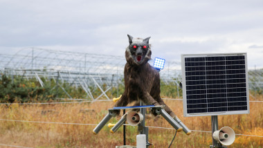 A robot called Monster Wolf, equipped with sensors that can detect nuisance wildlife, is installed in Takikawa