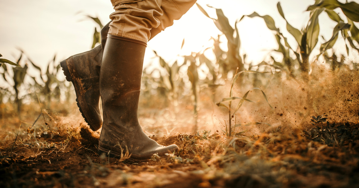 Pericol pentru agricultura românească: 7,5 milioane de hectare amenințate de deșertificare.