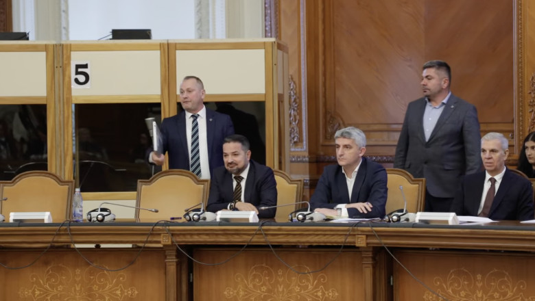 VIDEO  Scandal în comisia unde se discută activitatea ANRE: „Vă scoatem microfonul din priză“/ „Schimbați-vă tonul, că nu suntem la Vaslui”