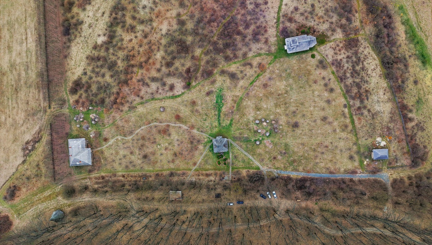 Codrii Vlăsiei, protejați prea târziu: pădurea uriașă a ajuns un petic de verdeață. Zona va fi parte din Centura Verde a Capitalei