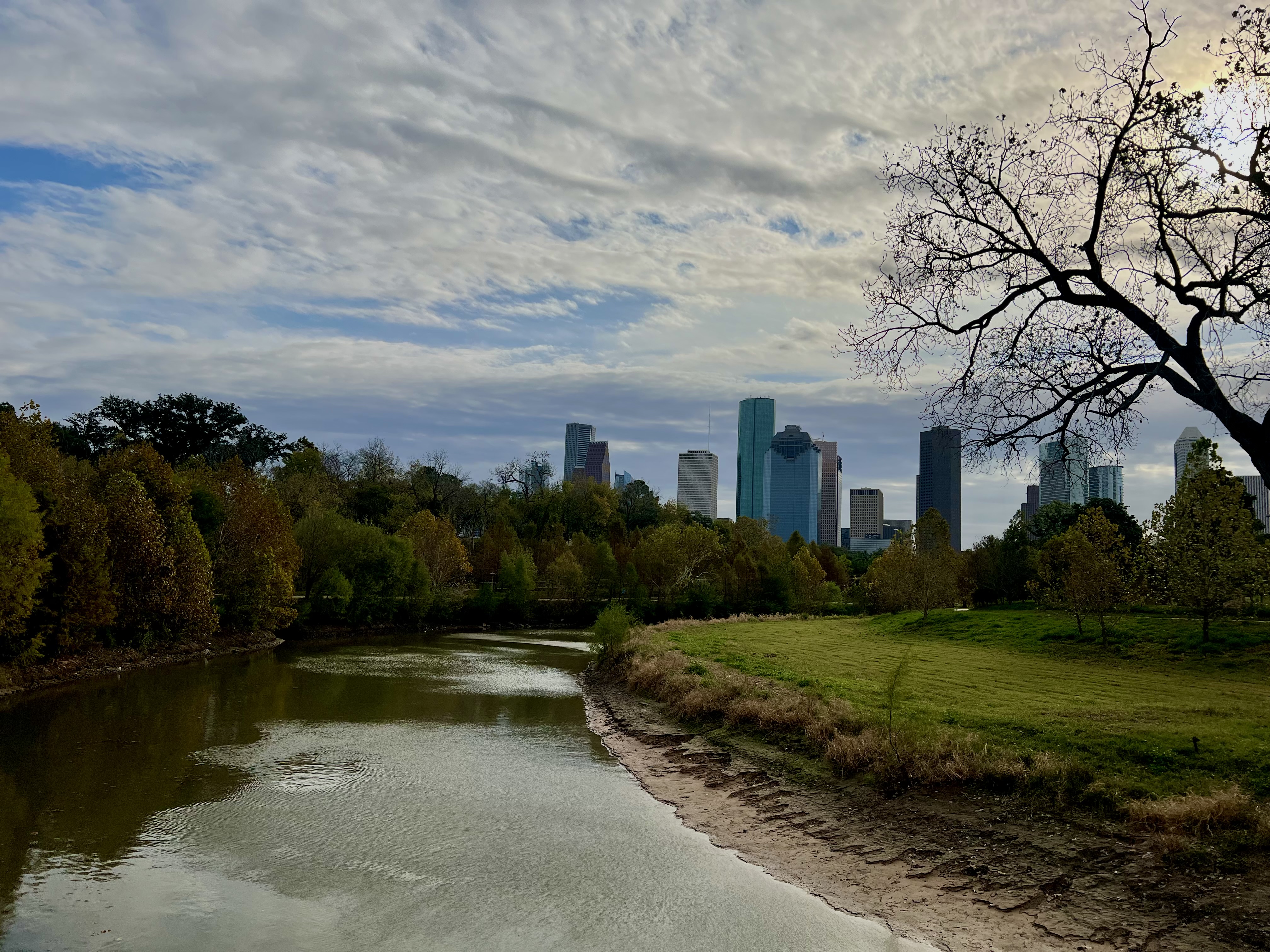 „Houston, avem o problemă”. Descoperirea a 24 de cadavre în mlaștinile metropolei alimentează temerile legate de un criminal în serie