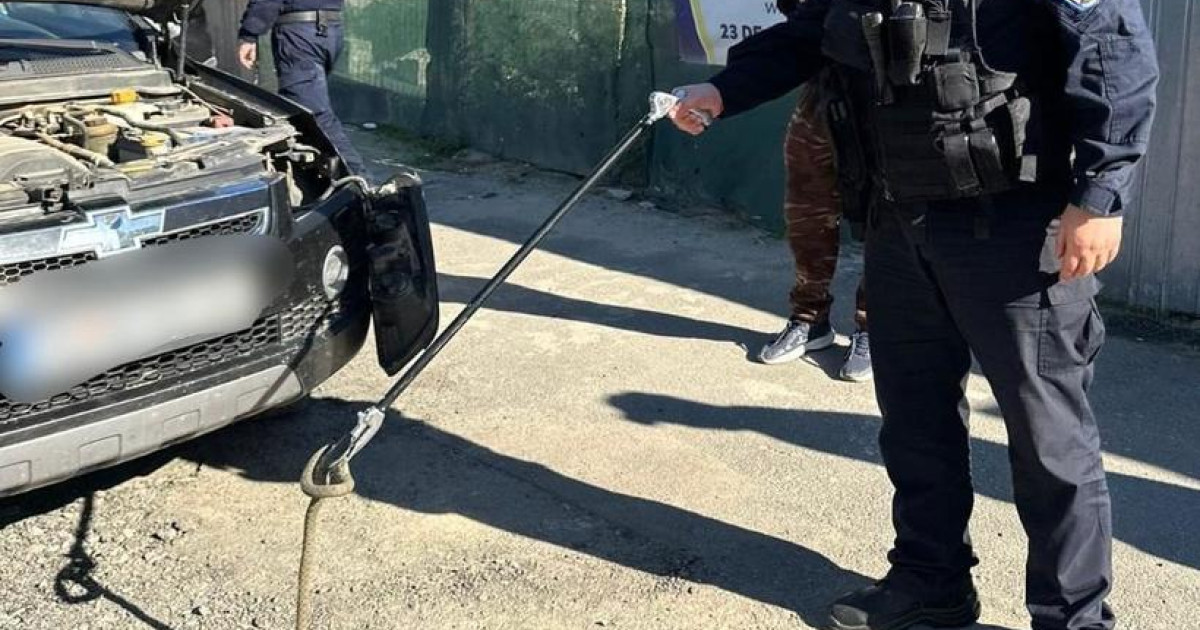 Șofer din Tulcea, surprins de un șarpe pe parbriz în timpul condusului