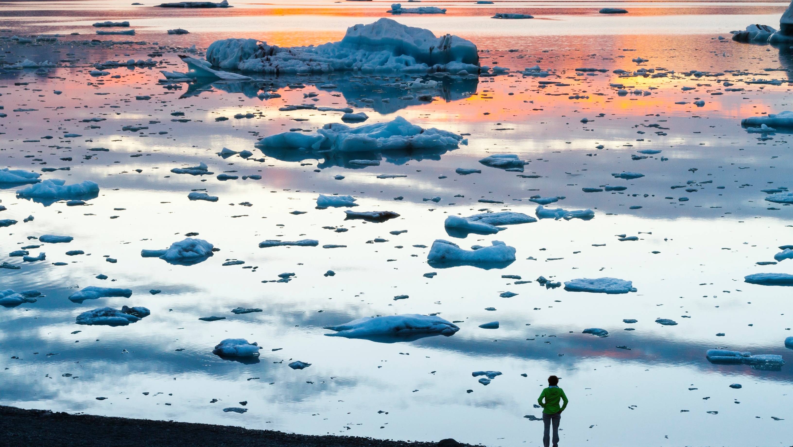 Premieră neplăcută în Islanda: țânțarii au ajuns și în mica insulă vulcanică celebră pentru mediul său nu tocmai ospitalier