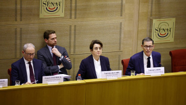 Laurence des Cars, head of the Louvre Museum, questioned by French Senate