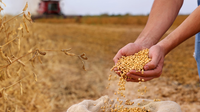 Disputa dintre Donald Trump și China privind soia lasă fermierii americani cu recolte uriaşe şi puţini cumpărători