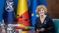 oana gheorghiu la sedinta de guvern, zambind