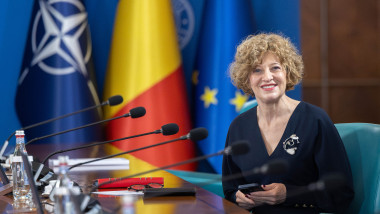 oana gheorghiu la sedinta de guvern, zambind