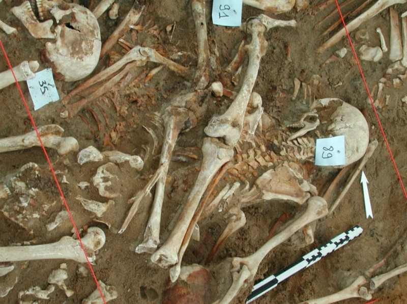 oase-soldați-napoleon-vilnius-3