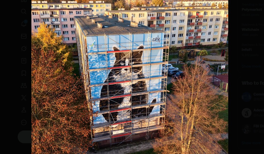 Cum arată „Kim Kardashian a lumii pisicilor”. Felina a fost onorată cu o pictură murală uriașă într-un oraș polonez