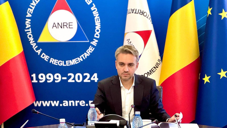 george niculescu-sef anre