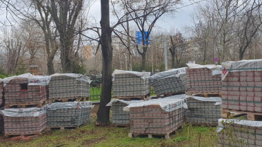 parcul IOR reamenajare negoita