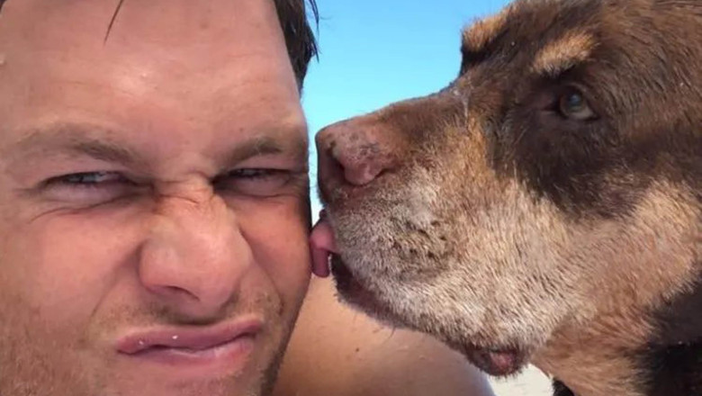 tom brady