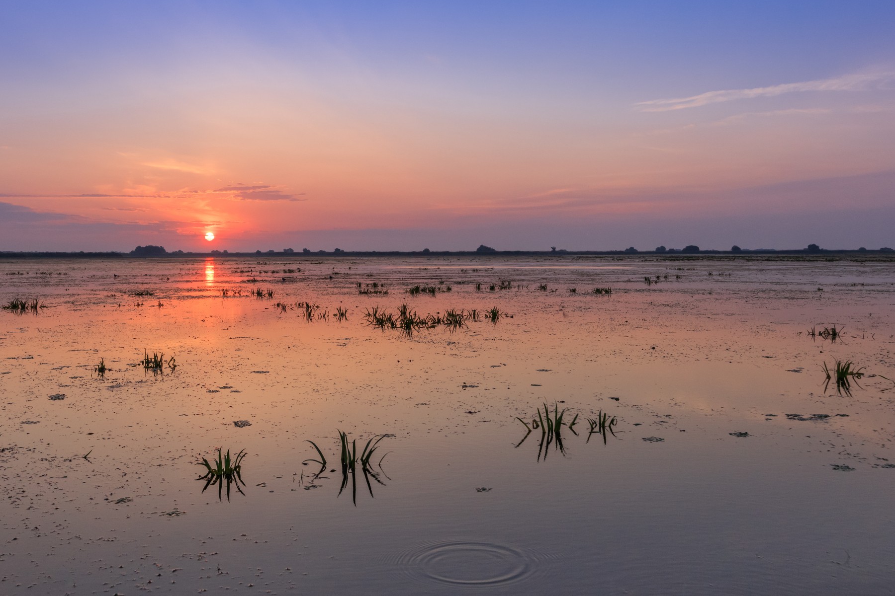 Un „colț de paradis” distrus de vapoare, plastic și drone. Cum a ajuns Delta Dunării o victimă colaterală a războiului