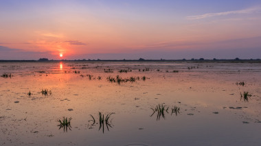 Danube Delta, Romania