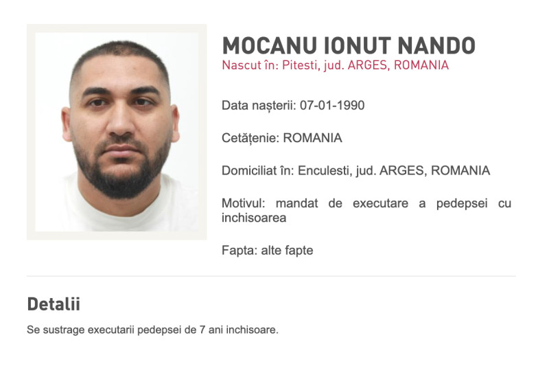 fratele lui danut mocanu