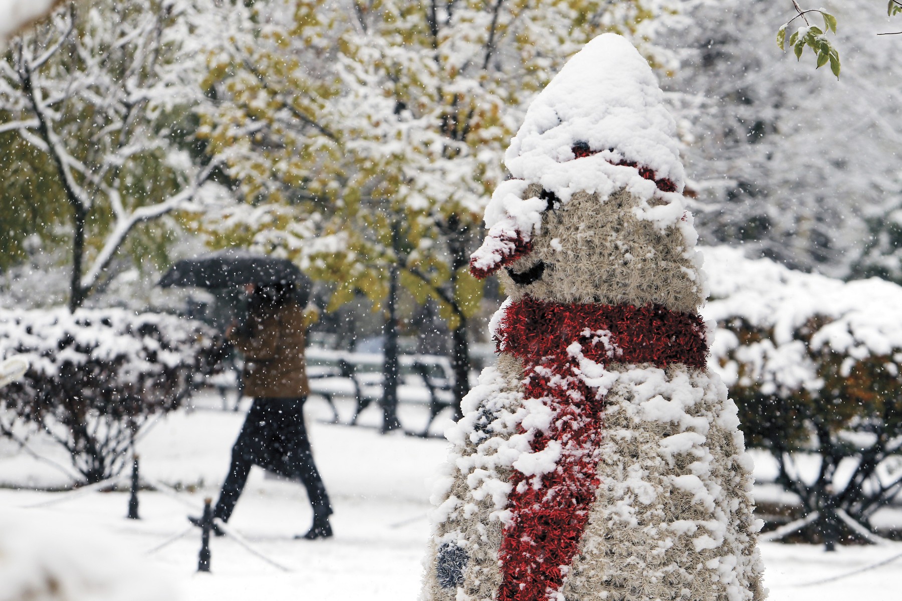 ANM a actualizat prognoroza meteo. Cod galben și portocaliu de vânt puternic și ninsori în mai multe regiuni