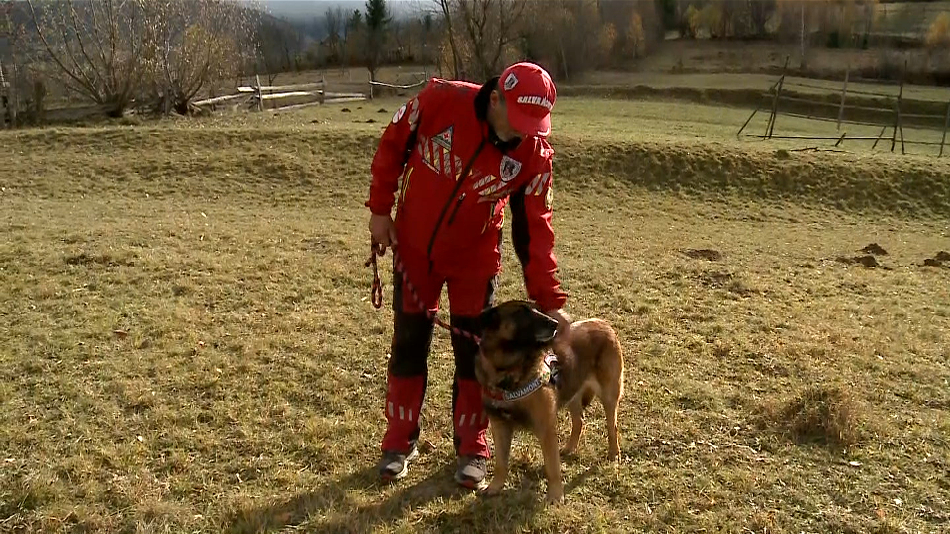 În Munții Maramureșului, Athos este câinele erou al salvamontiștilor: „Știe când trebuie să plecăm undeva sau când avem o misiune”