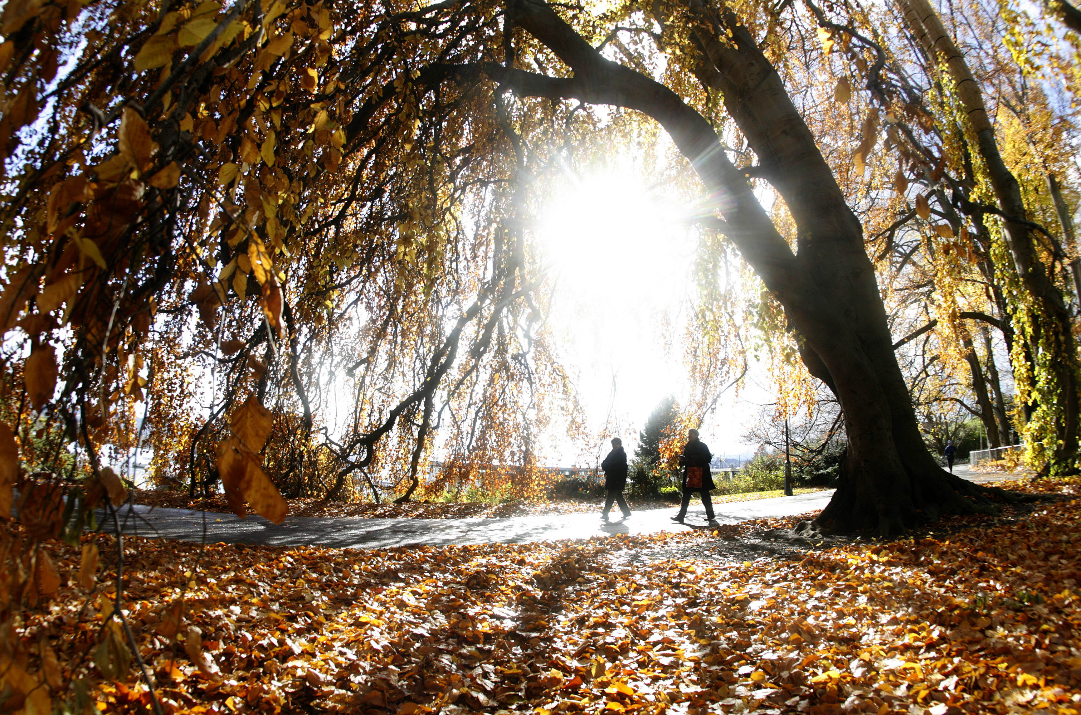 Noiembrie începe cu temperaturi de vară. Meteorologii anunță cum va fi vremea în următoarele zile