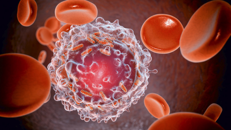 Descoperire majoră: cercetătorii au reușit să elimine complet leucemia în modele preclinice